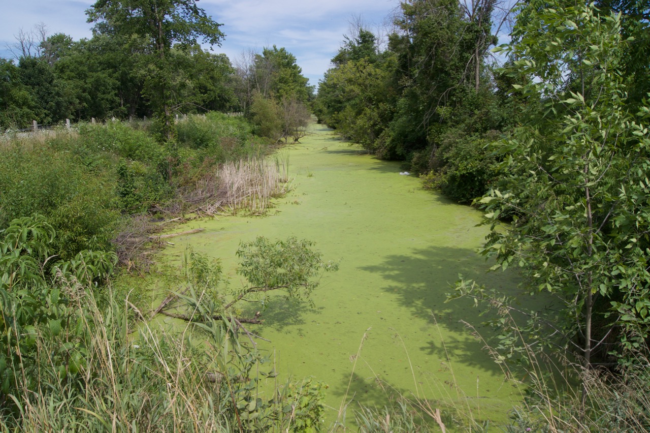 A feeder canal supplied water to thr Welland Canal system